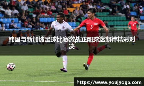 韩国与新加坡足球比赛激战正酣球迷期待精彩对决