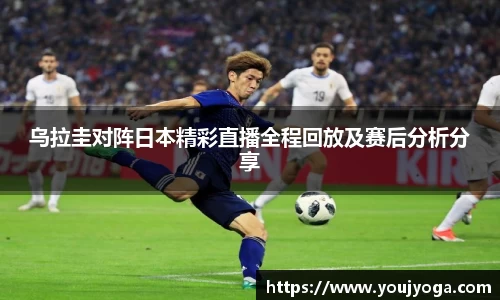 bsports官网入口